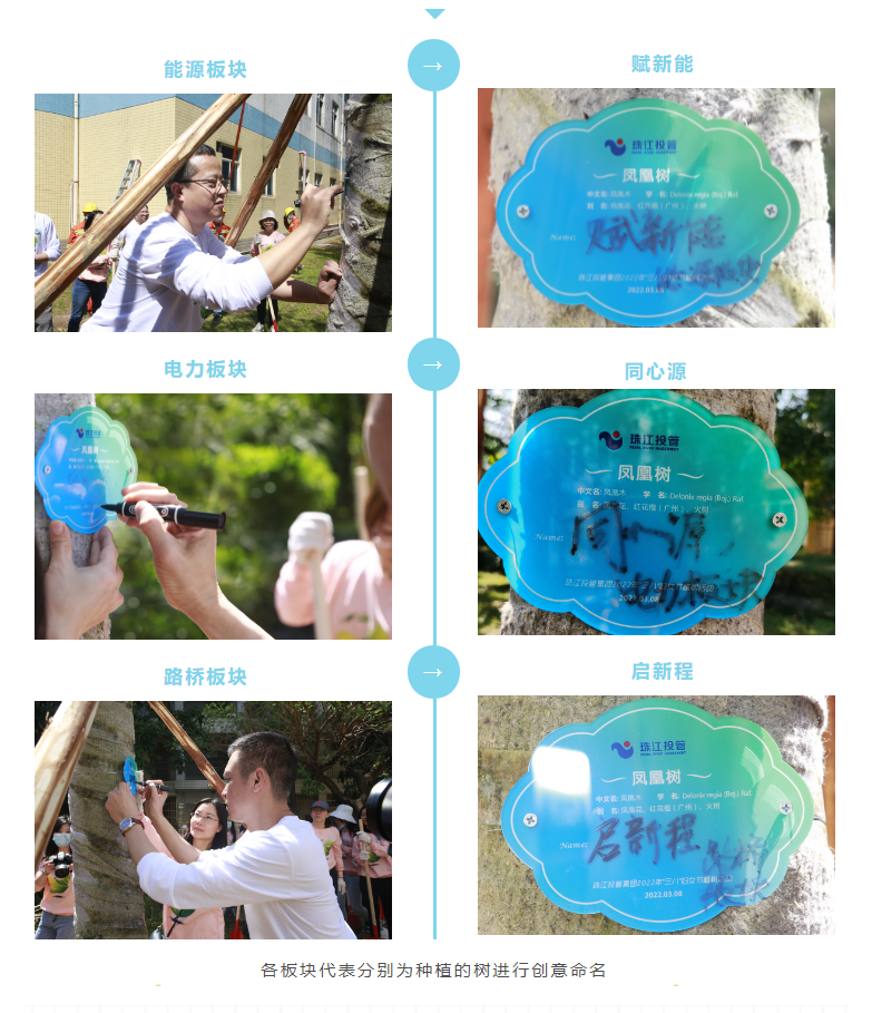 各項目代表命名.png